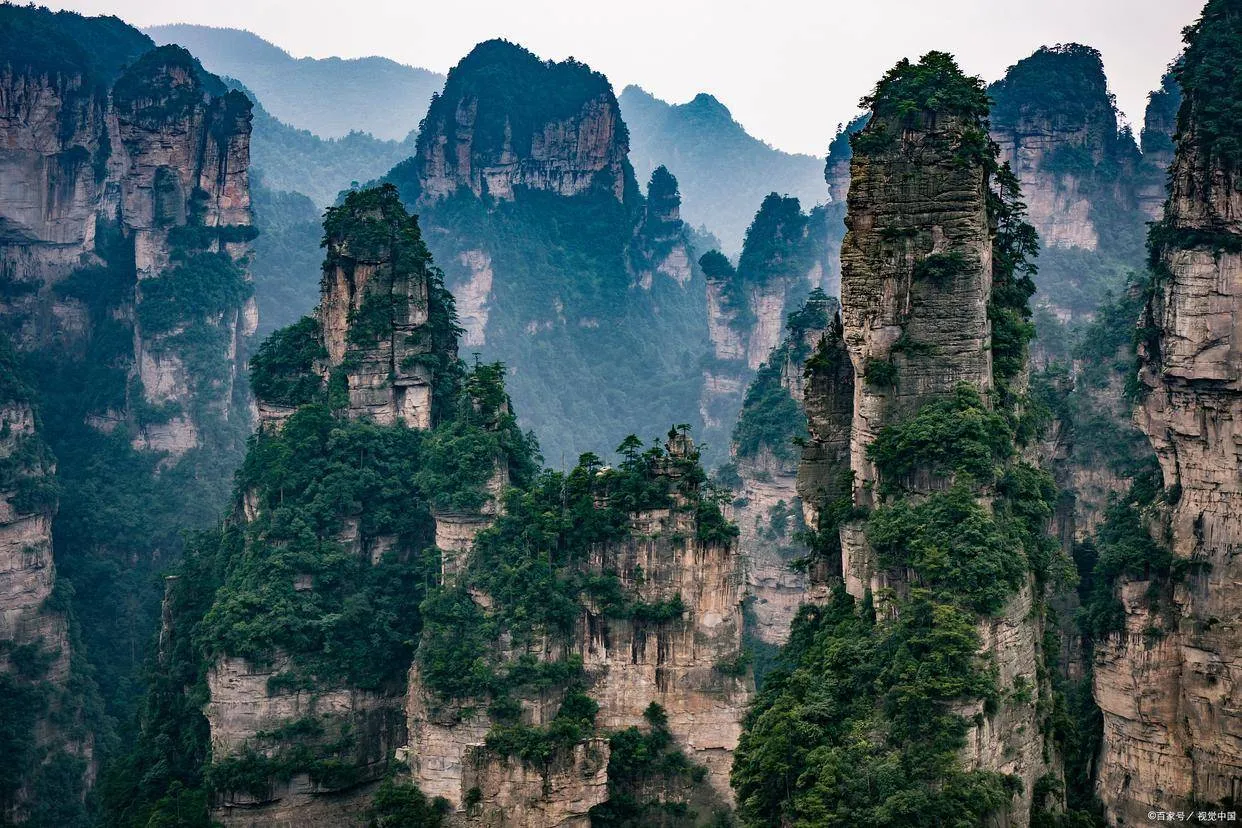 游张家界张家界(张家界旅游指南,教你如何游遍张家界)