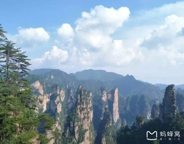 去张家界自助游攻略(去张家界自驾游怎么安排必读攻略)