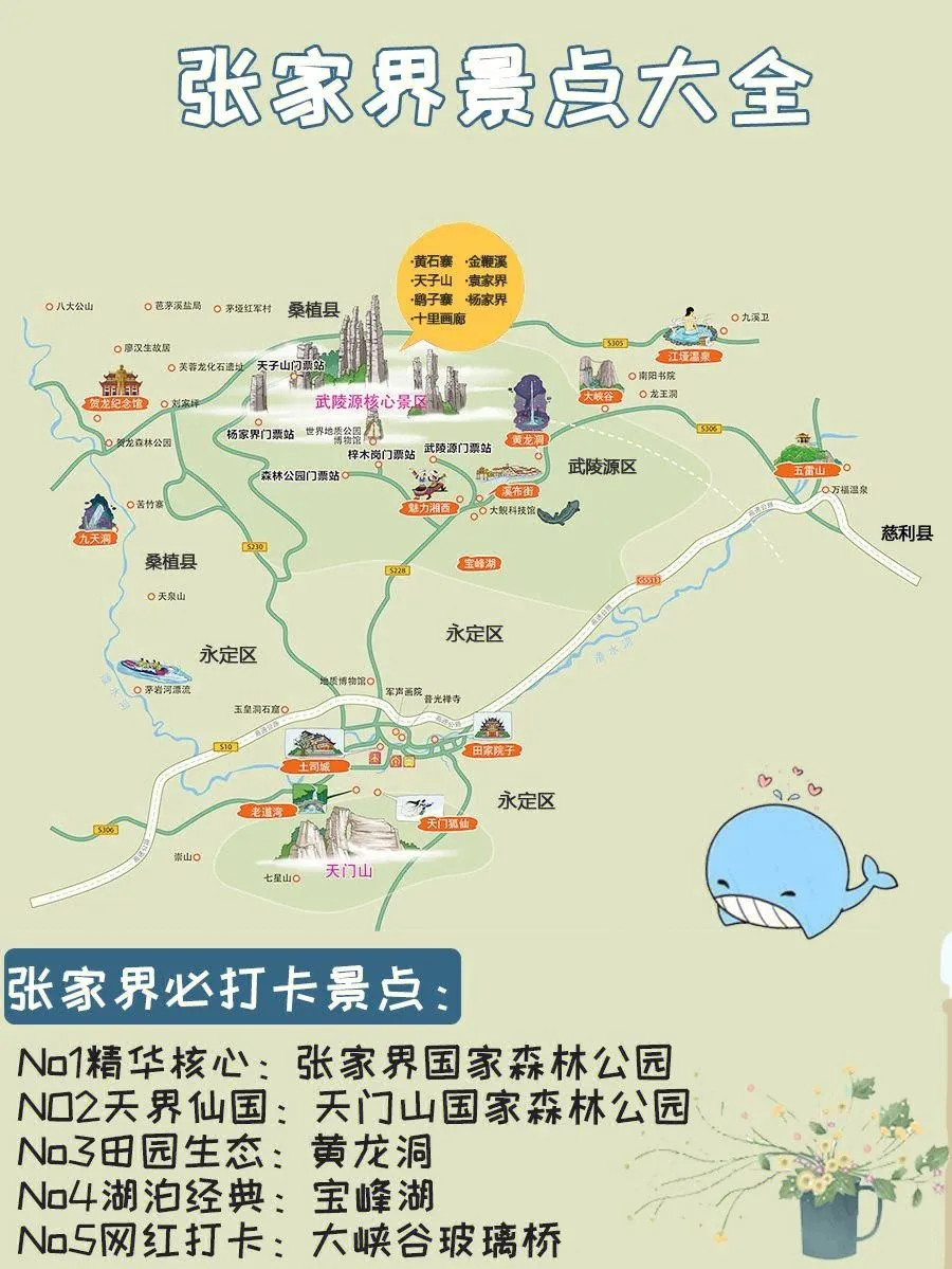 去张家界的最佳路线(青岛去张家界的最佳路线)