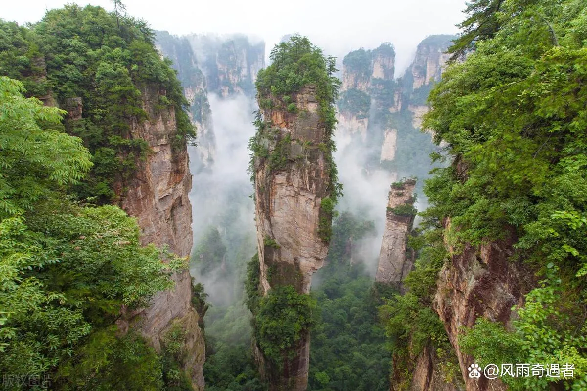 旅行张家界张家界(去张家界旅游旅行团)