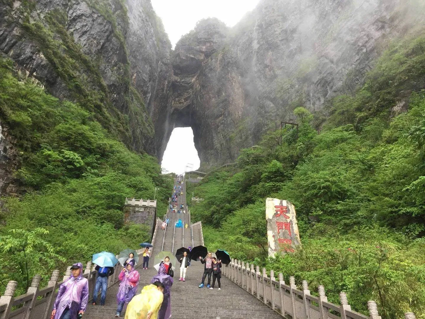 张家界在天门山(张家界天门山四人跳崖)