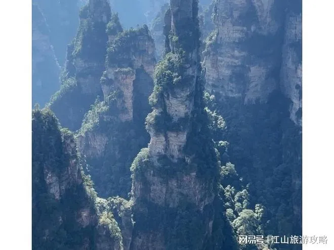 长春到张家界4日游(长春到张家界旅游6日游)