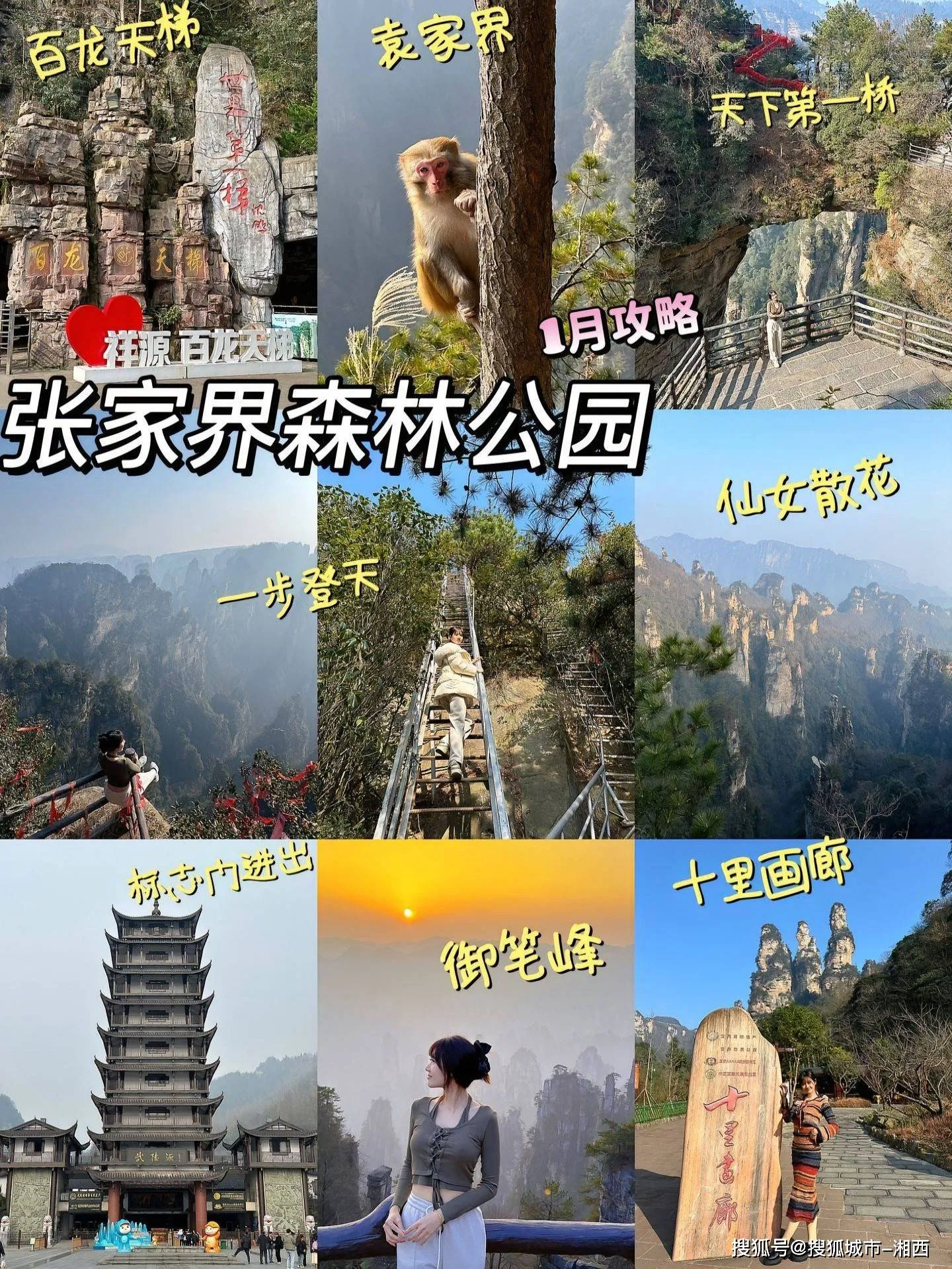 去张家界旅游需要多钱(去张家界费用要多少5日游)