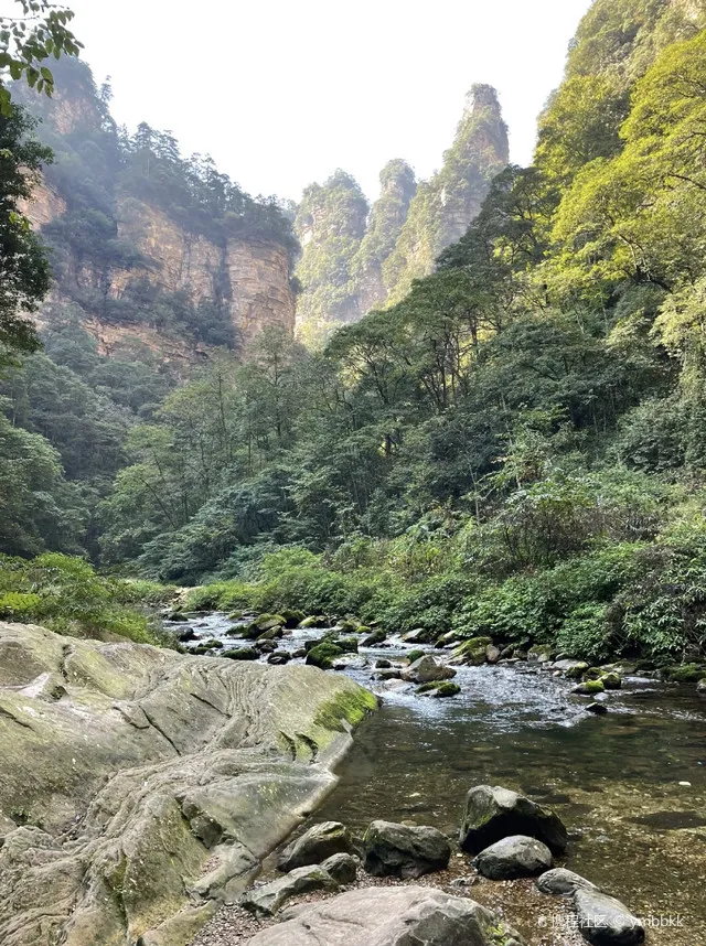 攻略张家界张家界旅游(张家界旅游攻略百度百科)