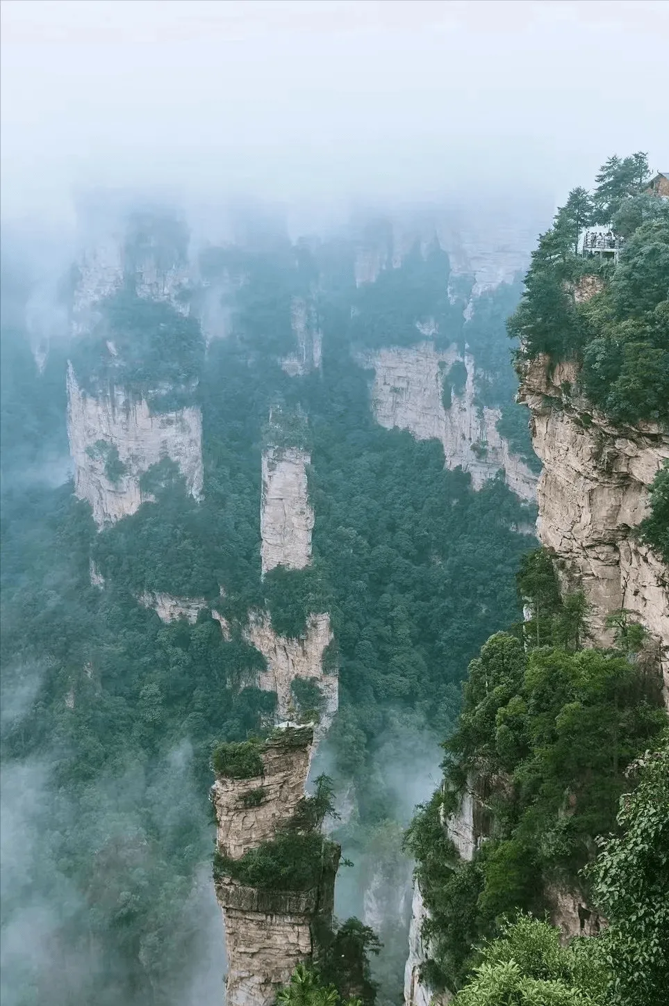 长沙到张家界旅游攻略自由行(长沙到张家界旅游景点有多少公里)