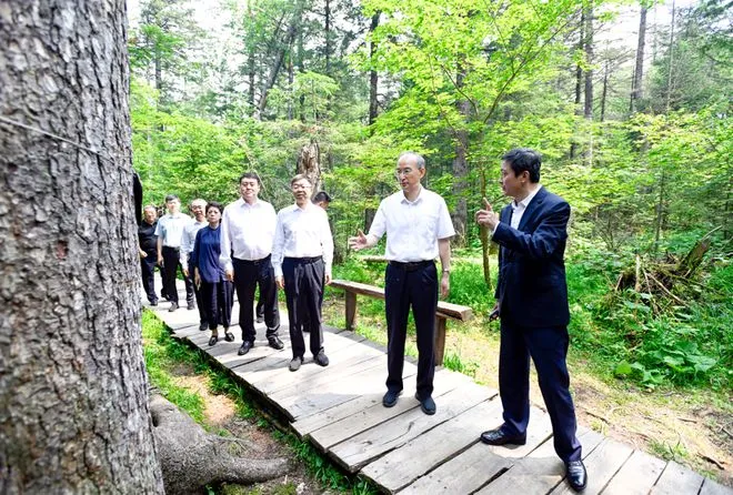 张家界神农架旅游攻略(张家界神农架旅游攻略一日游)