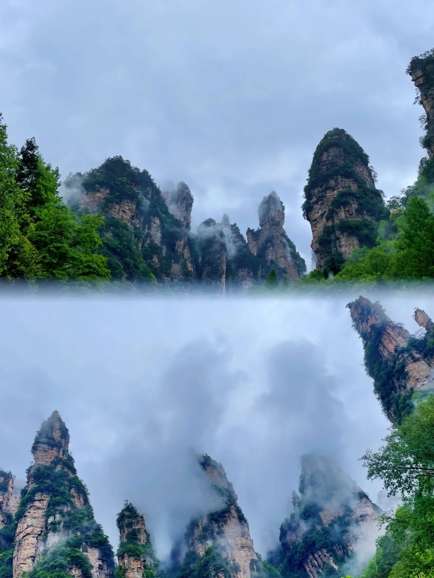 张家界张家界旅游景点(张家界旅游攻略必去景点大全)