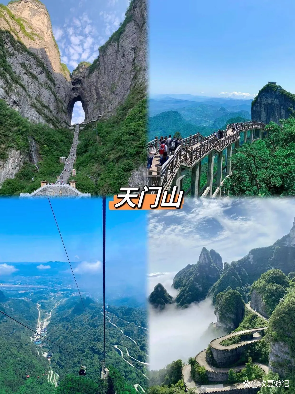 张家界游吧(张家界旅游贴吧)