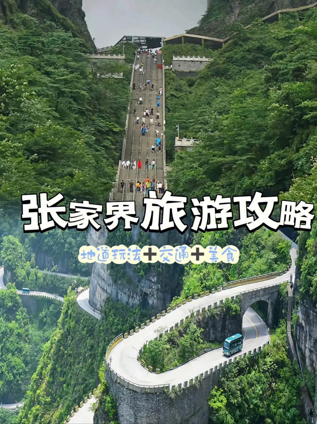 出发到张家界旅游(到张家界旅游需要多少钱)