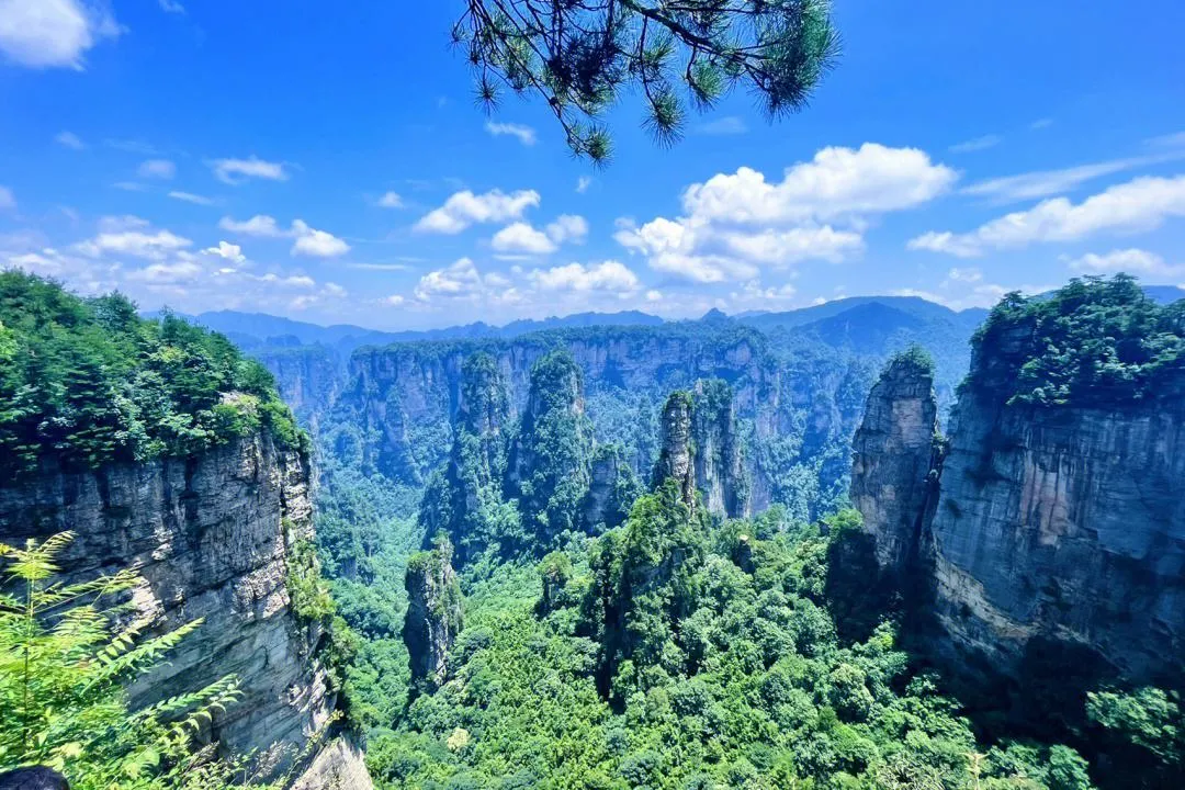 张家界旅游览(张家界旅游指南)