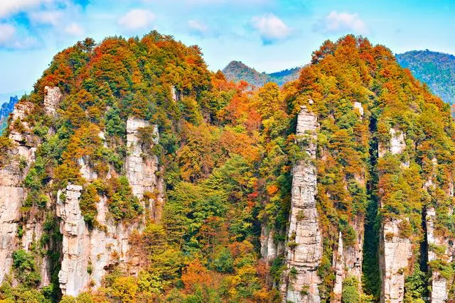 去张家界哪里旅游好(去张家界哪里景点必须去)