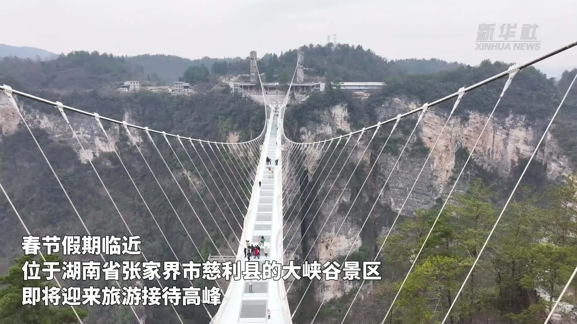 张家界县旅游(张家界旅游旅游)