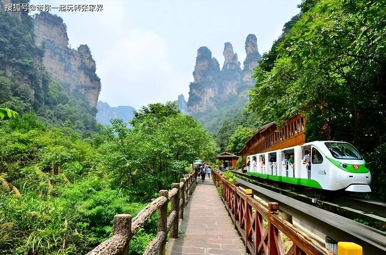 张家界必玩的地方有哪些(张家界必玩的地方有哪些景区)