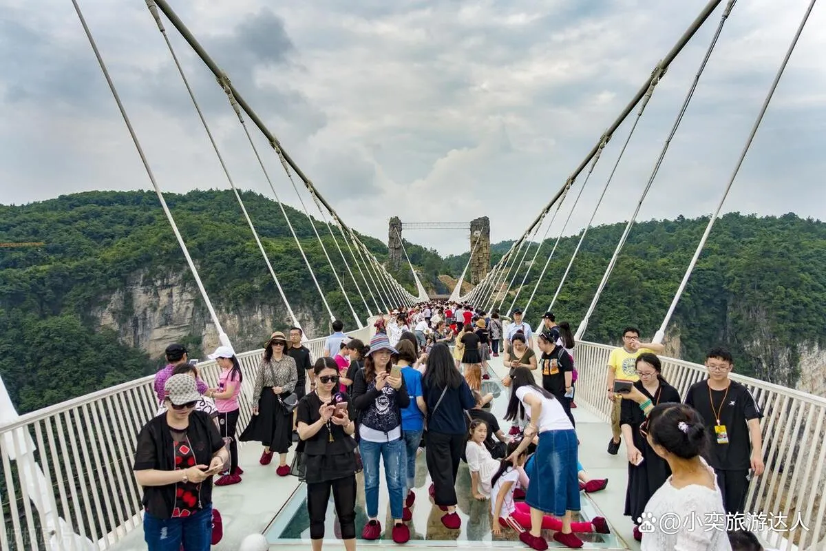 张家界旅游旅游攻略三天两夜(张家界旅游旅游攻略三天两夜免费)