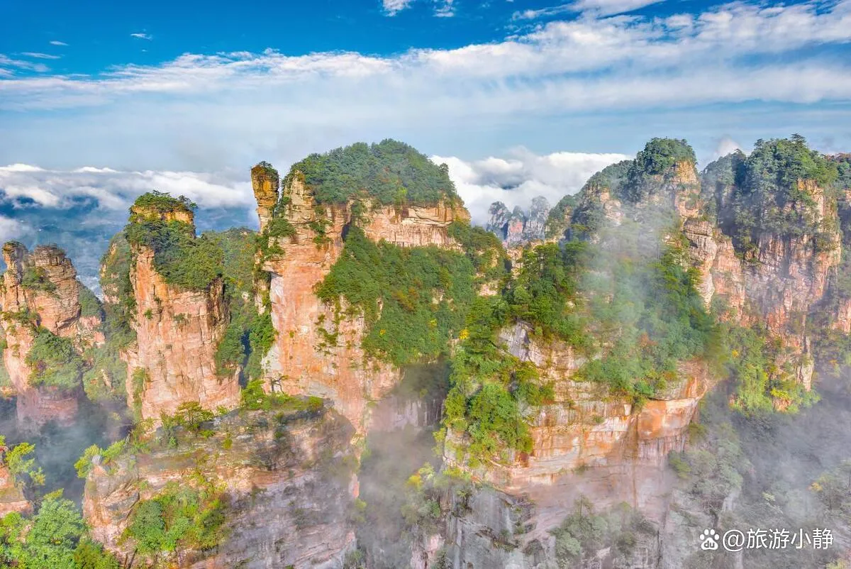 张家界的旅行(张家界的旅行报价)