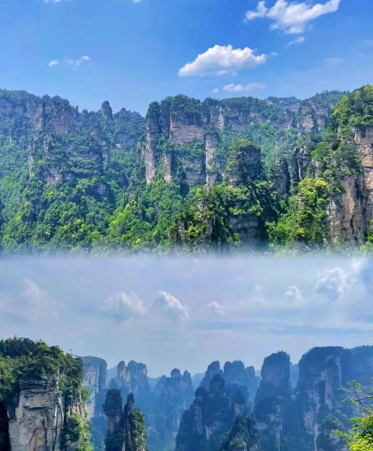 张家界旅游之(张家界旅游之旅游攻略)