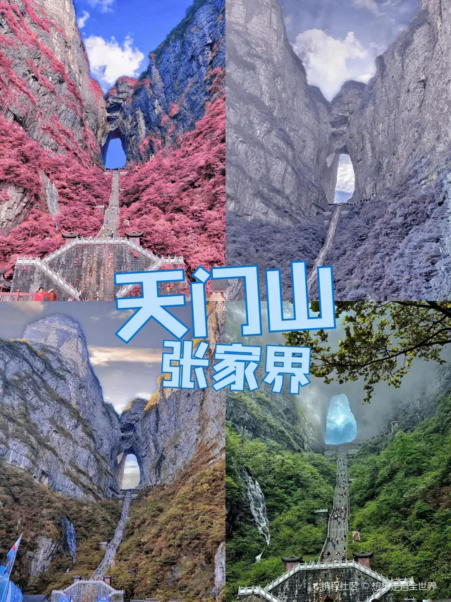 天门山半日游攻略(天门山半日游攻略大全)
