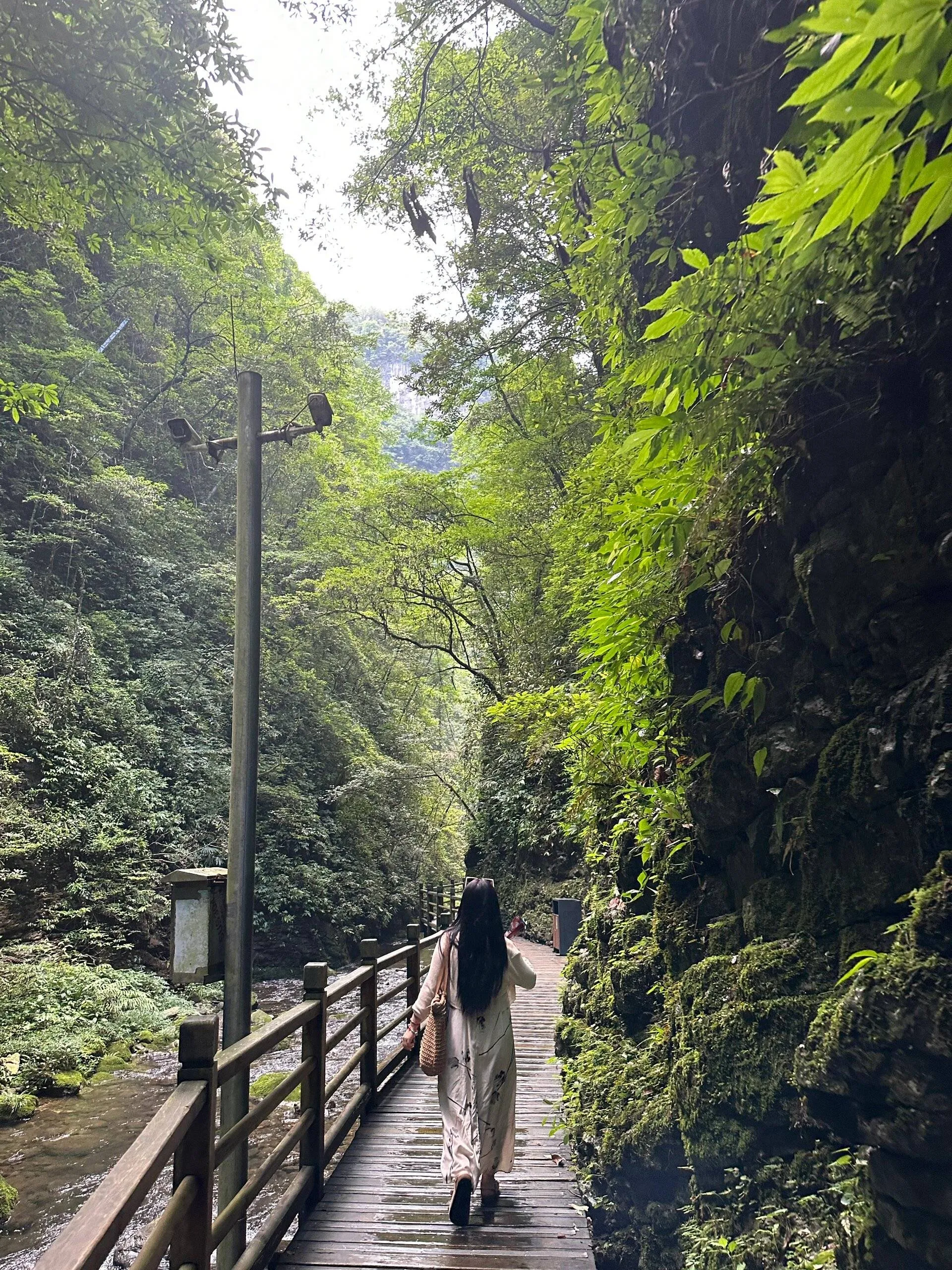 广州到张家界自驾游线路(广州到张家界自由行旅游攻略)