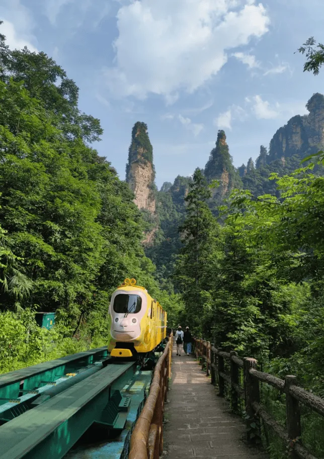 张家界哪里旅游(张家界哪个旅游景点最出名)