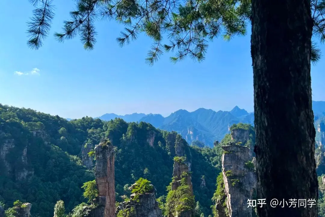 张家界去张家界旅游(张家界去张家界旅游攻略)