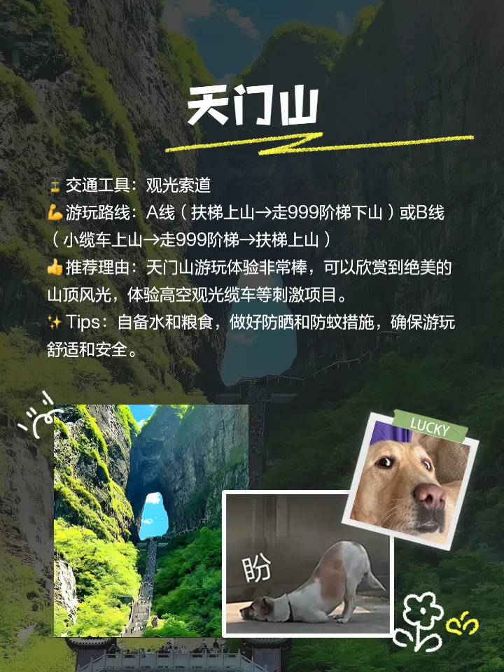 张家界旅游必去景区是哪个省(张家界旅游必去景区是哪个省份)