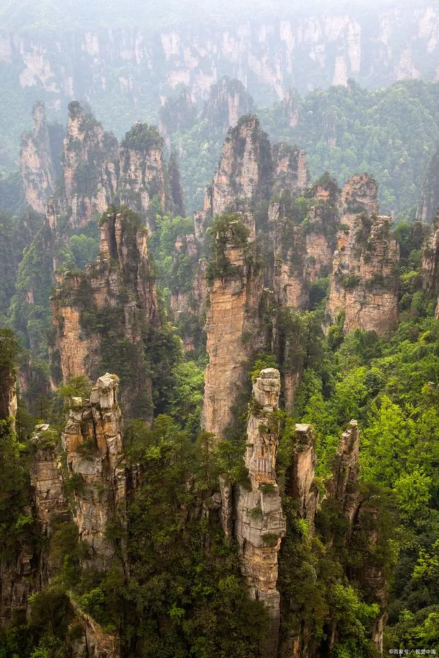 老年人适合到张家界旅游吗(老年人适合到张家界旅游吗知乎)