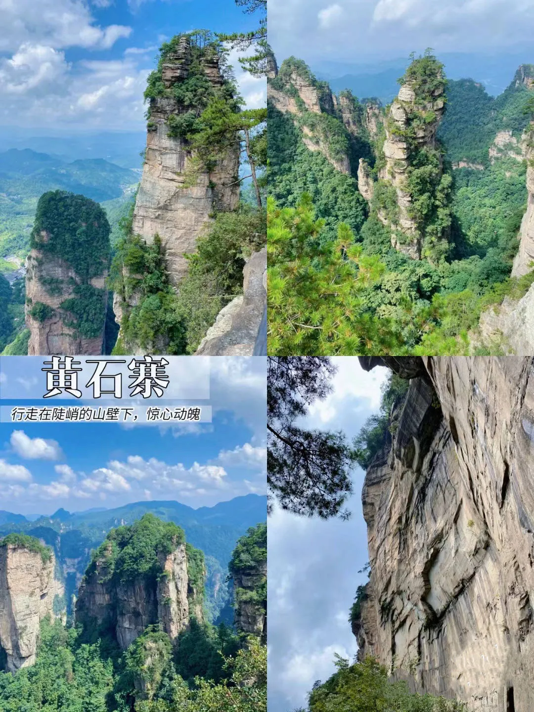 张家界5天旅游参团多少钱(张家界5天旅游参团多少钱一天)
