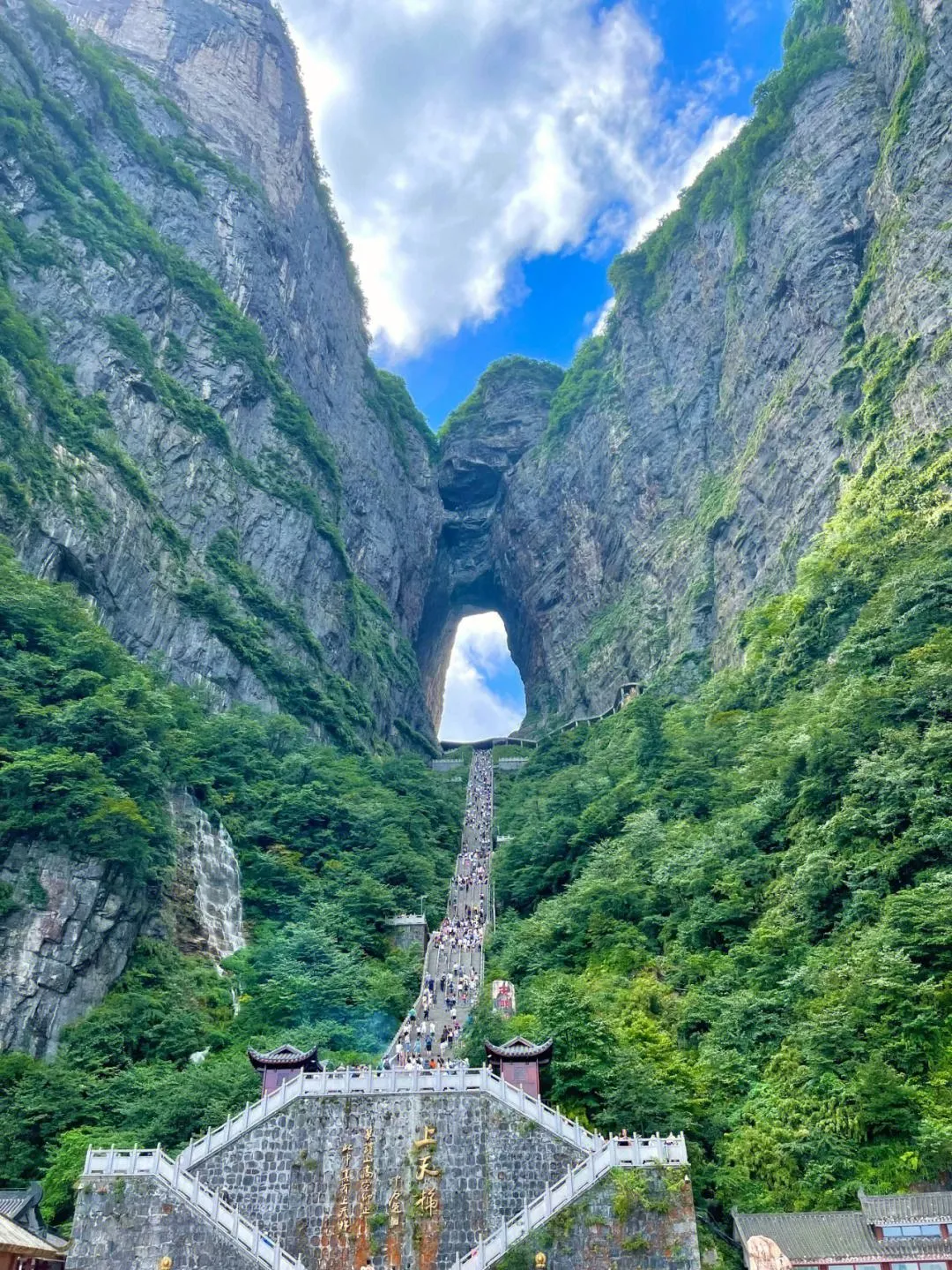 提供张家界旅游(提供张家界旅游服务英语)