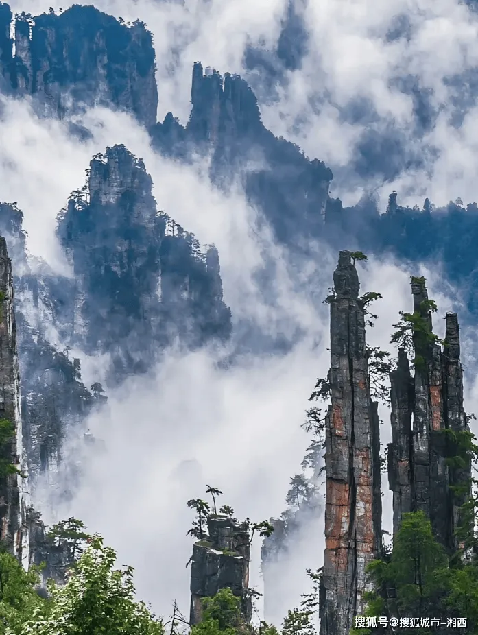 张家界市区游玩(张家界哪里值得玩)
