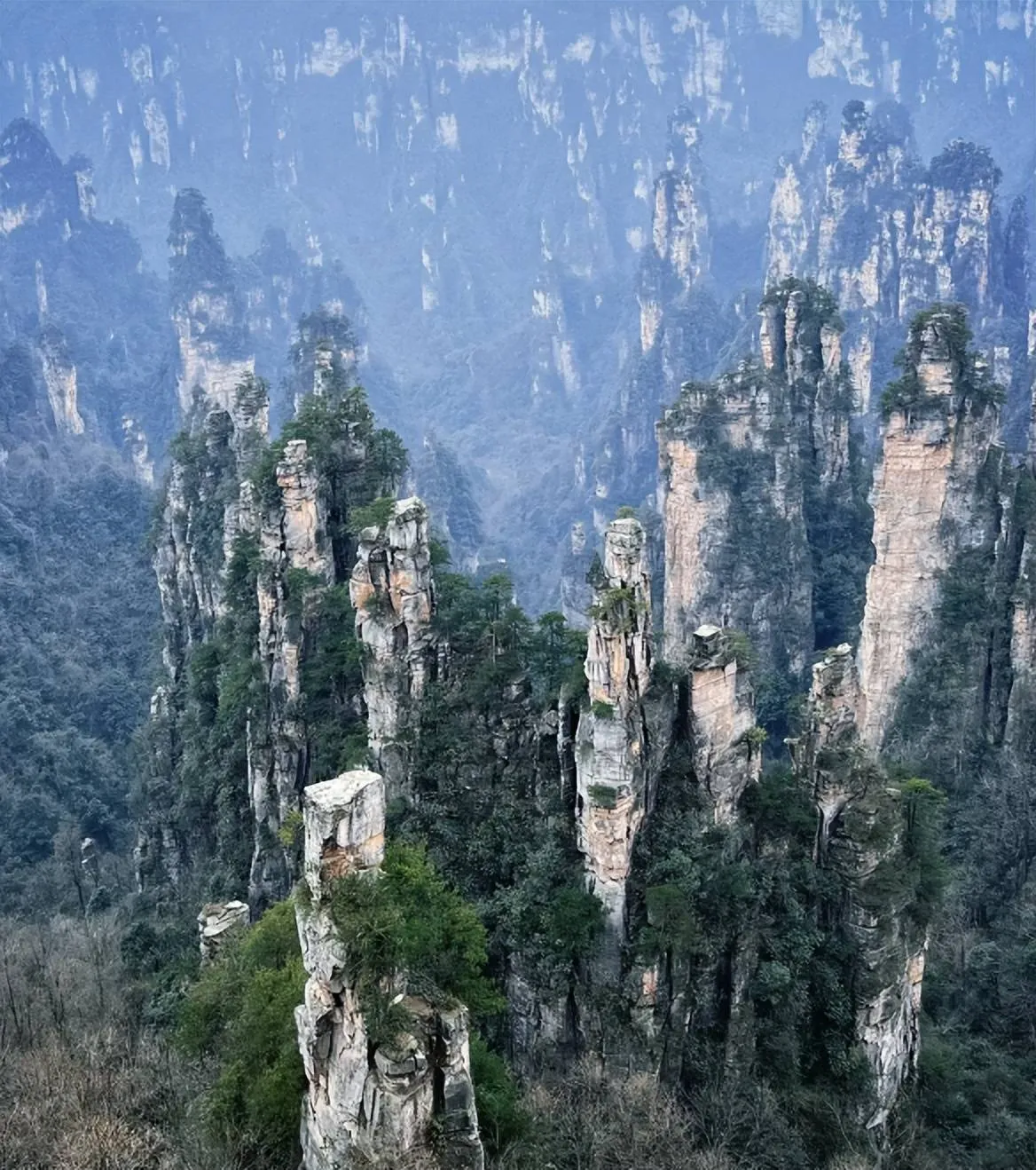 张家界天门山的(张家界天门山的天气预报)