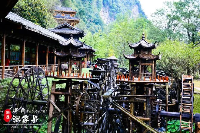 张家界旅游最(张家界旅游最佳时间什么时候去最好)