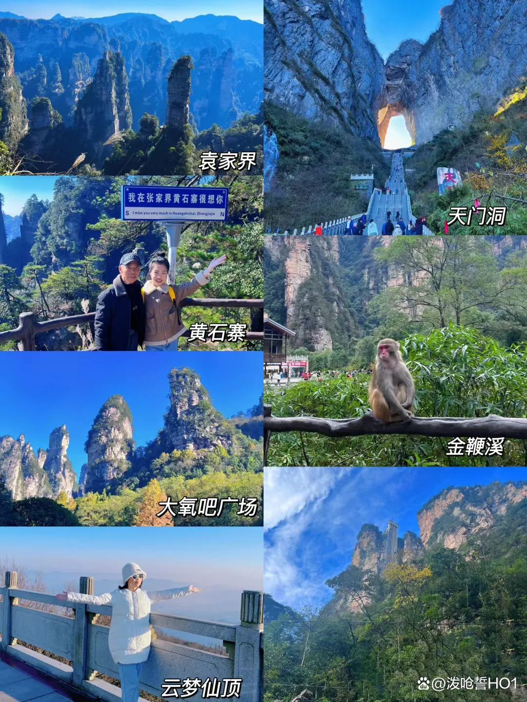张家界6日游报团报价(张家界旅游团报名6日游价格)