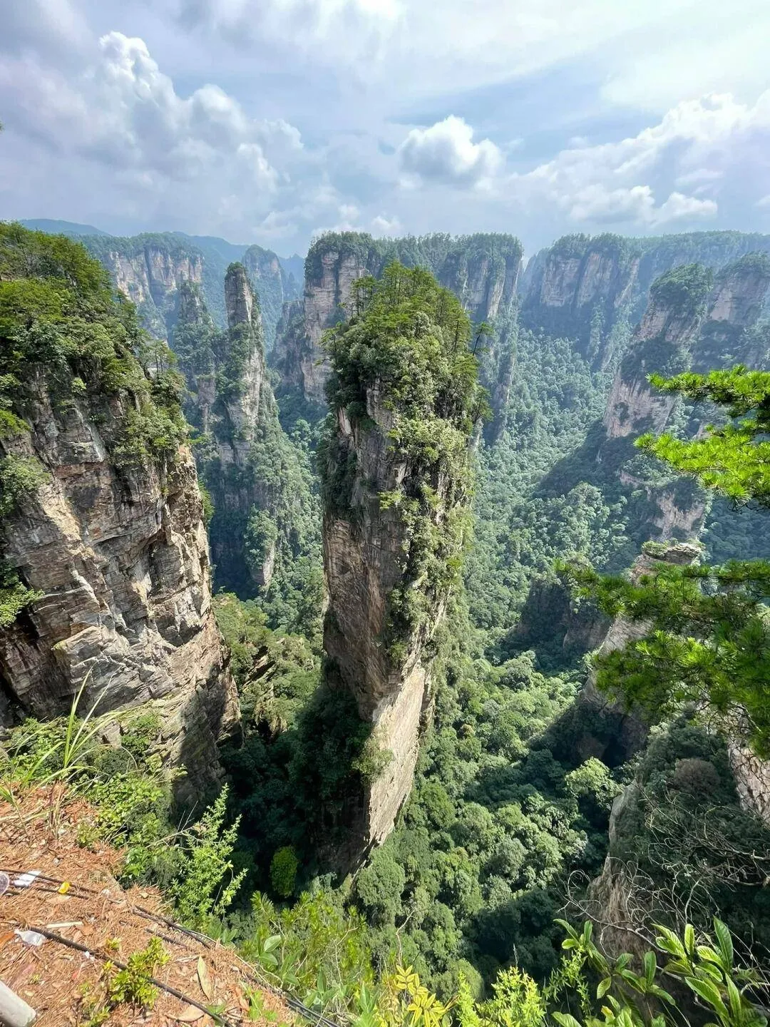 春节适合去张家界游玩吗(春节适合去张家界游玩吗现在)