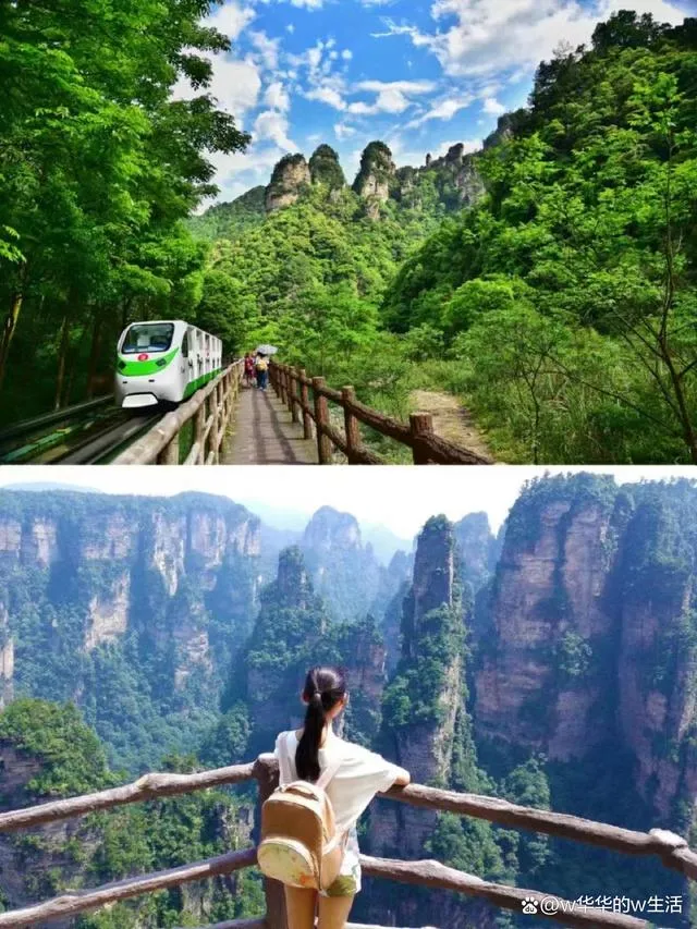 提供张家界旅游(提供张家界旅游服务英语)