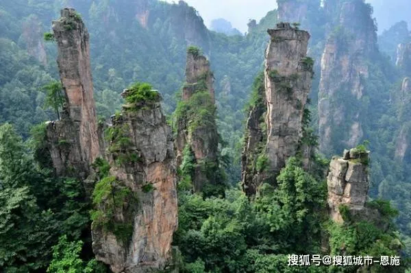 驴友张家界旅游攻略(张家界旅游攻略自驾游旅游攻略)