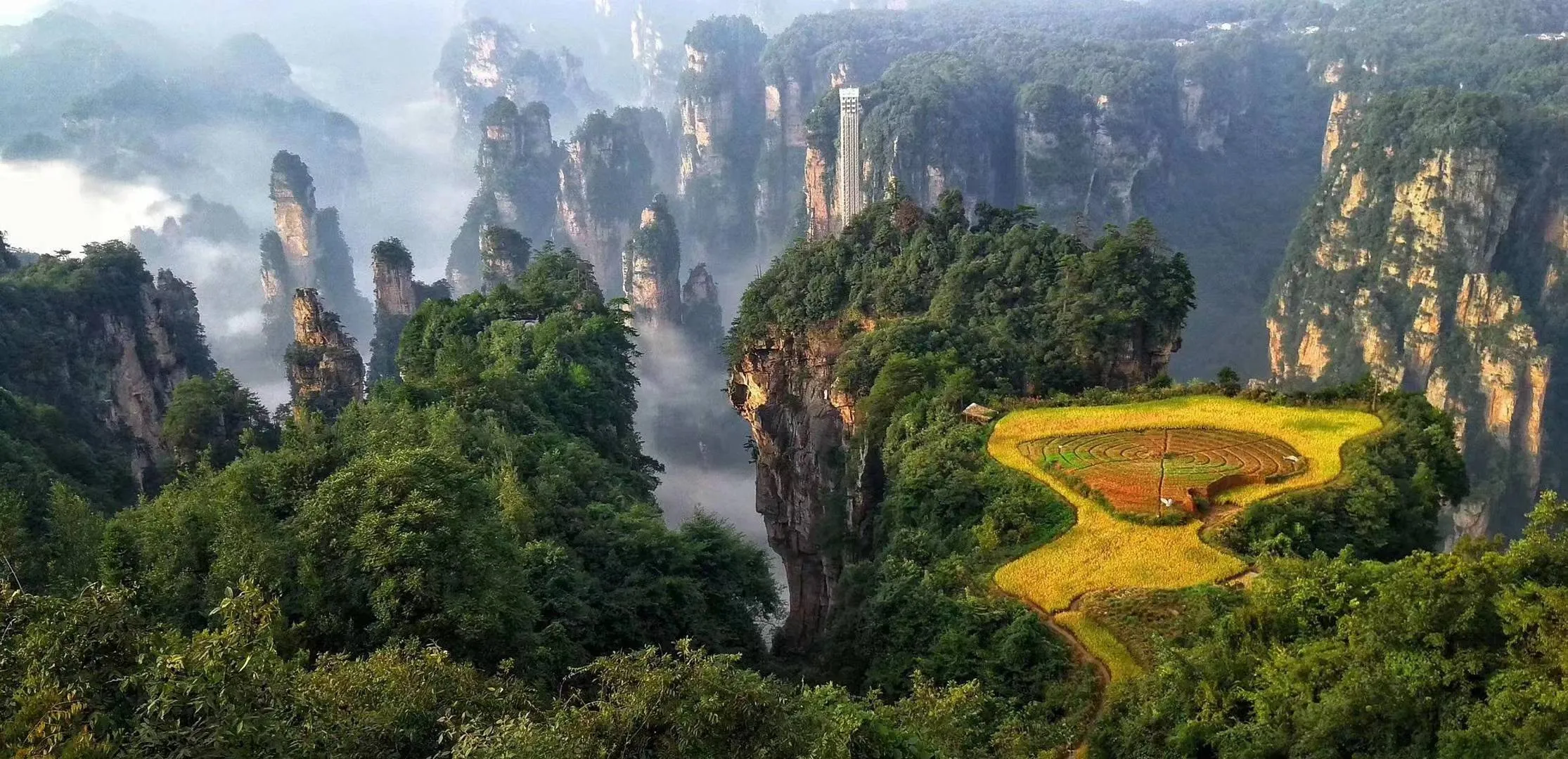 最佳张家界旅游(张家界最佳旅游季节)