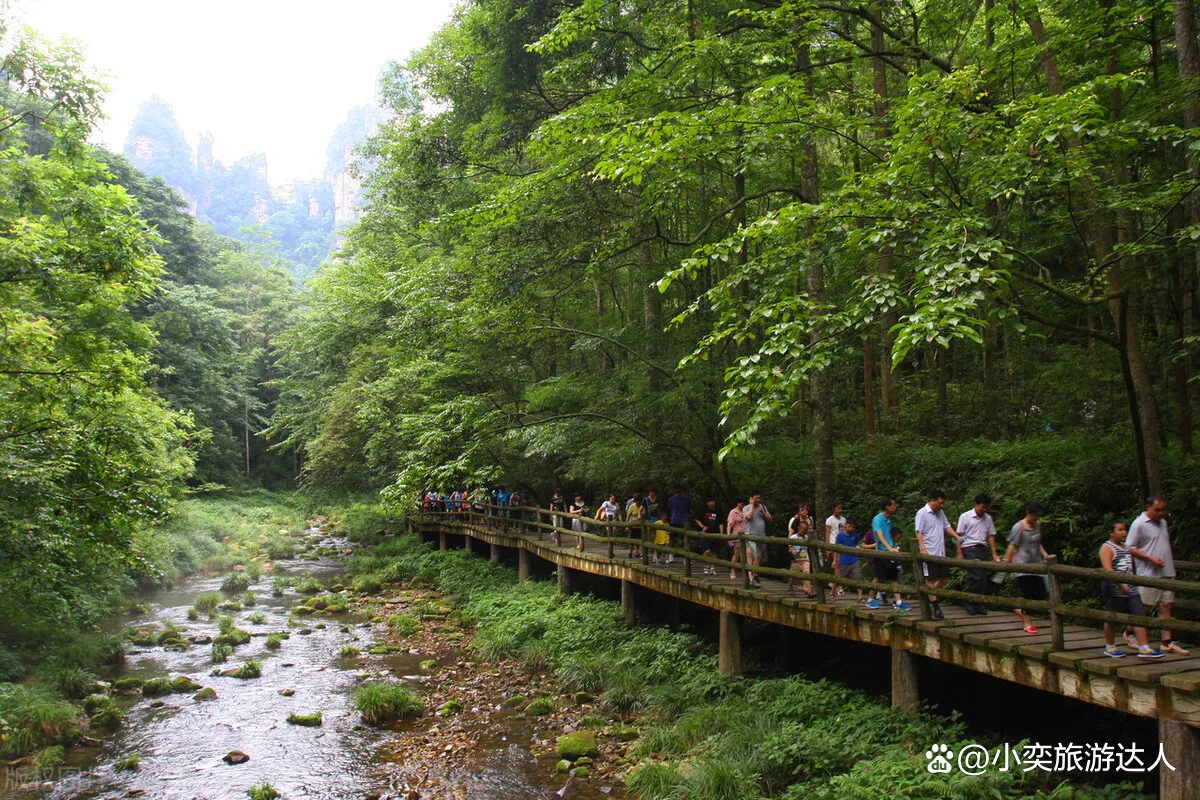 张家界旅游攻略自由行三天天门山的简单介绍