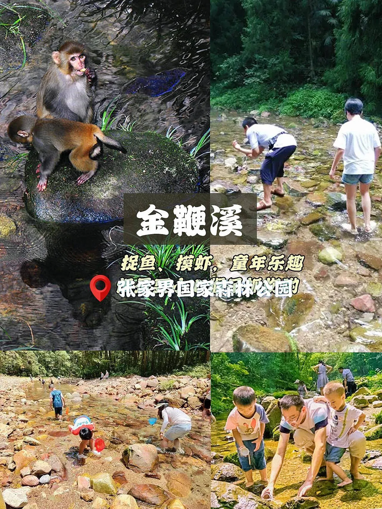 大连旅游到张家界怎么走(大连旅游到张家界怎么走最便宜)