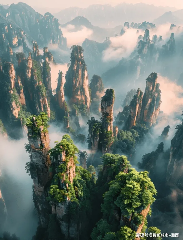 张家界适合孩子玩的地方(张家界适合孩子玩的地方推荐)