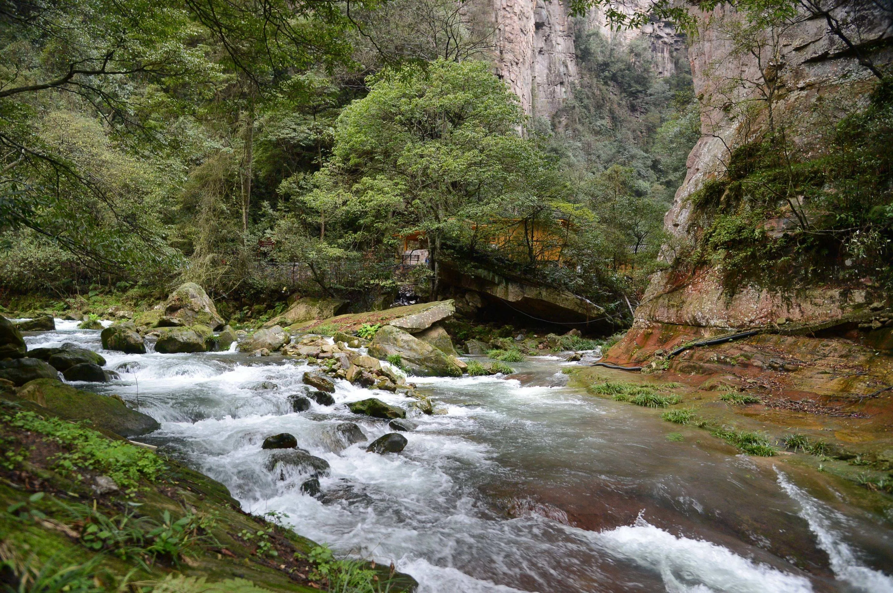 旅游区张家界(旅游区张家界在哪里)