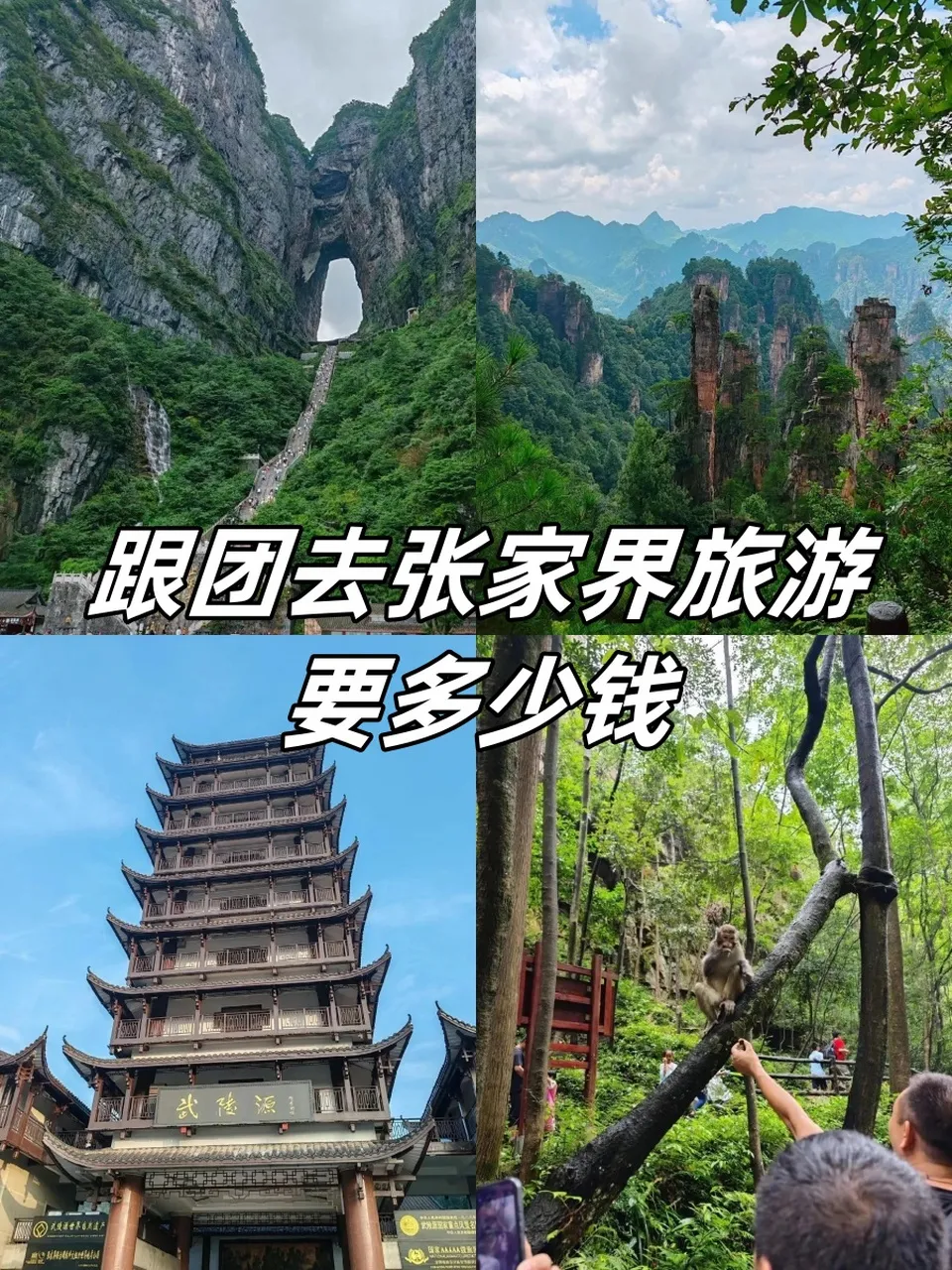 旅游张家界一般多少钱(张家界旅游需要多少钱12万阅读)