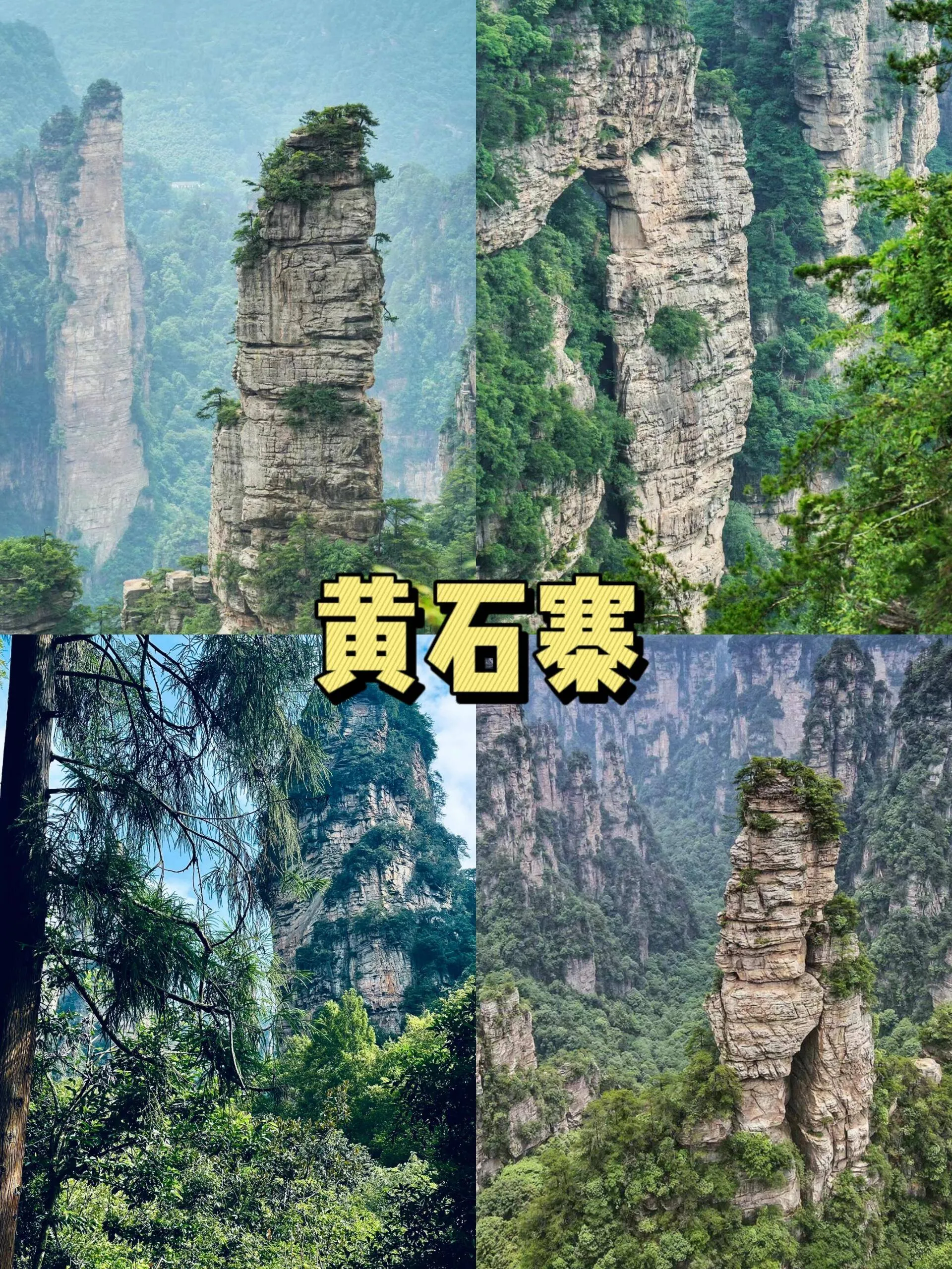 张家界三曰游攻略(张家界3日游自由行攻略)