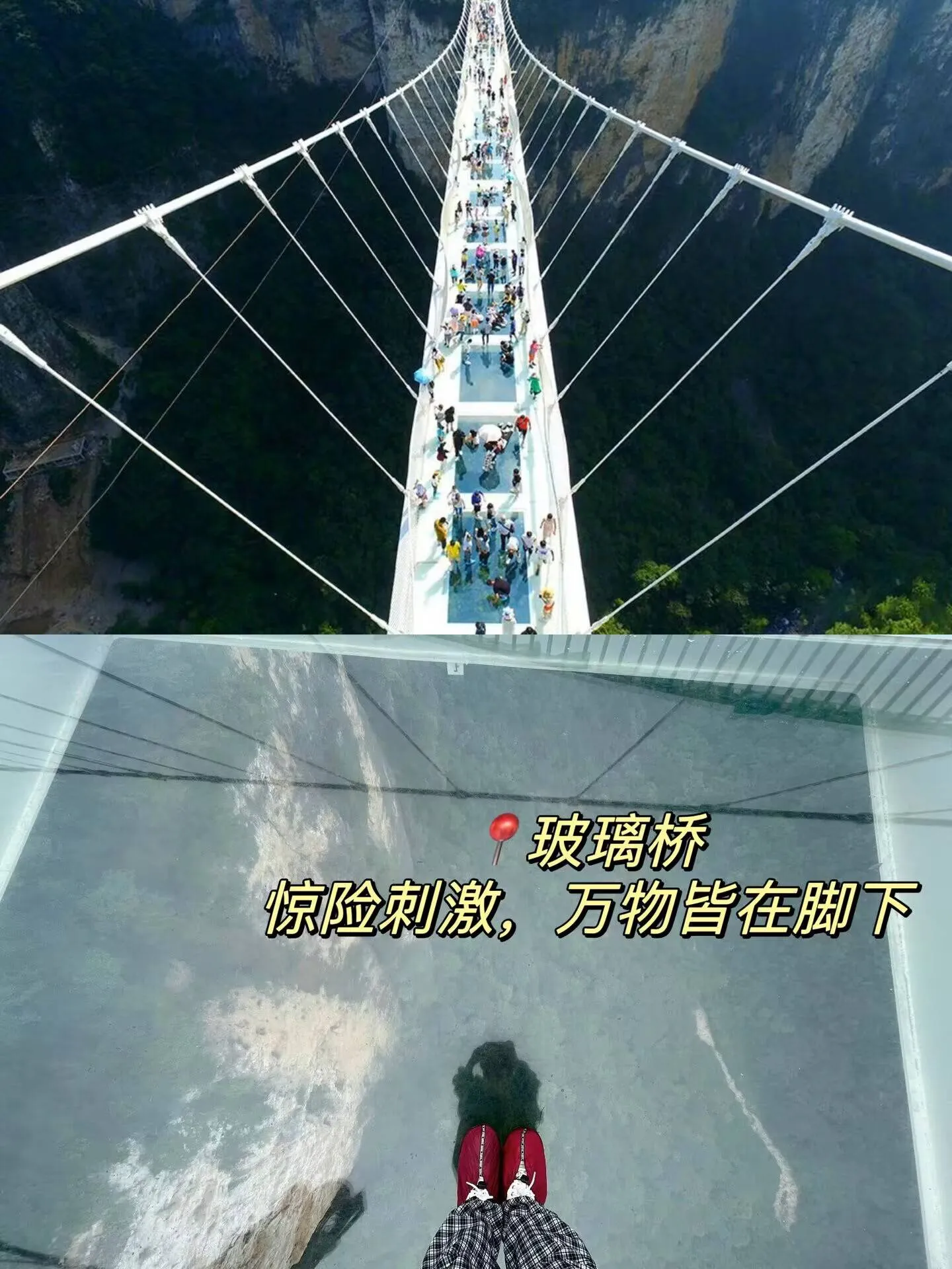从武汉到张家界自驾最佳路线(从武汉到张家界自驾最佳路线怎么走)