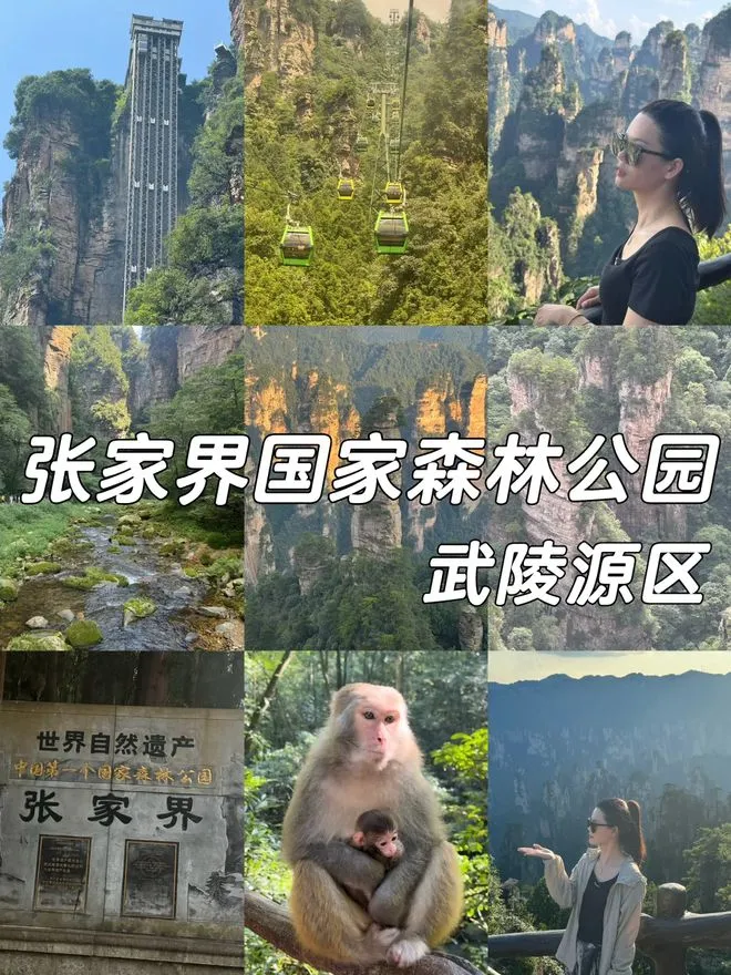 连云港到张家界4日游(连云港到张家界火车站时刻表)