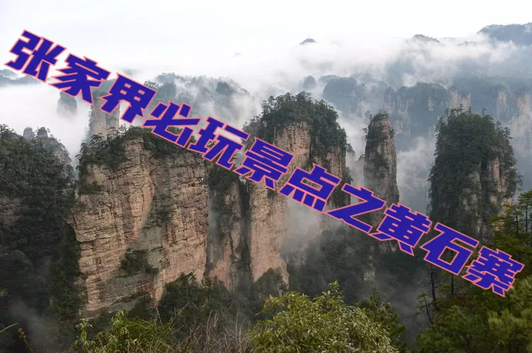 七月份适合去张家界黄石寨旅游吗(七月份适合去张家界黄石寨旅游吗视频)