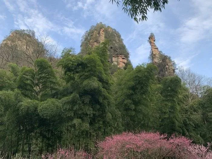 张家界靠谱旅游(张家界旅游690元)