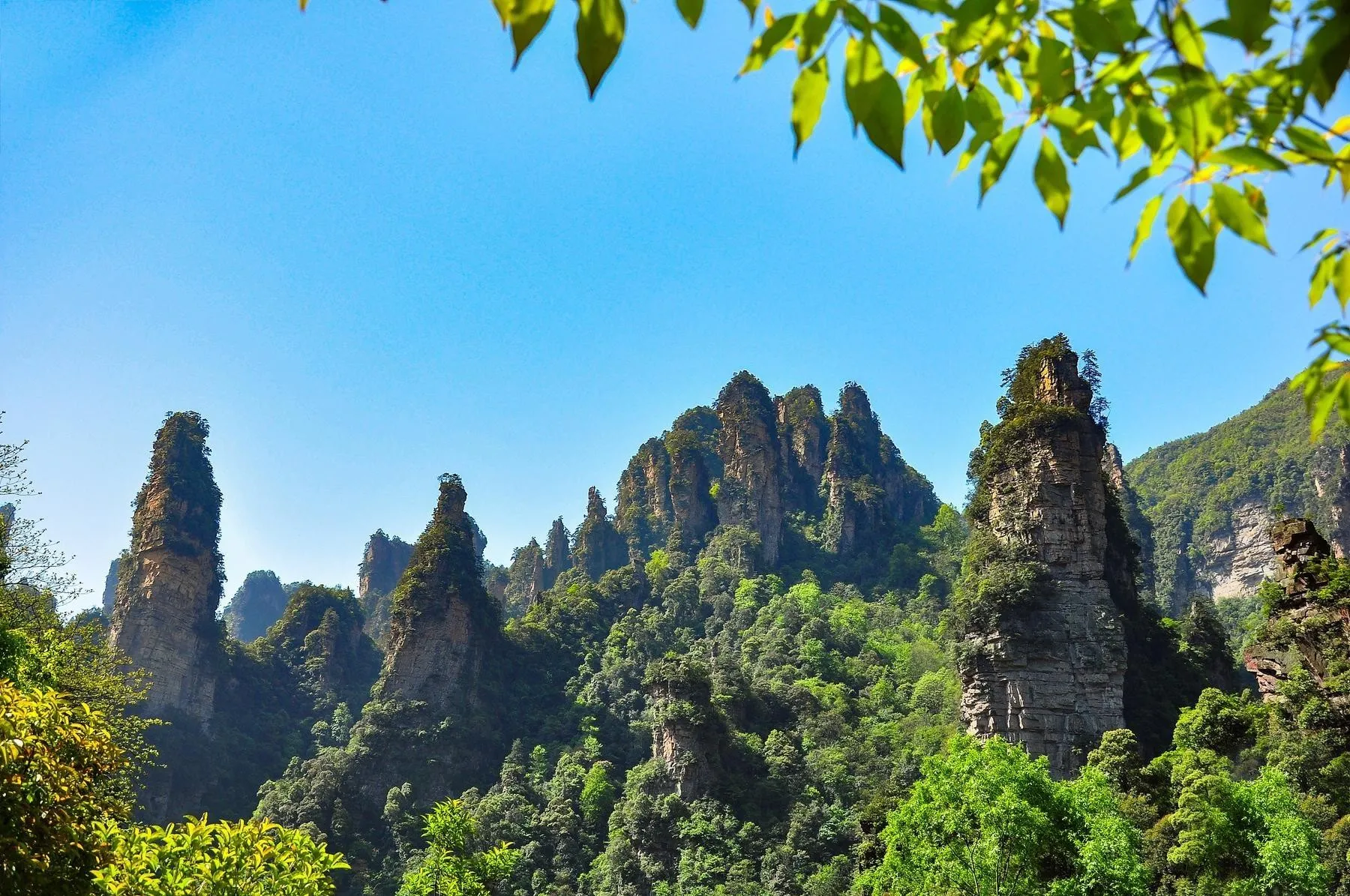 张家界旅游的景点有哪些(张家界旅游的景点有哪些地方)
