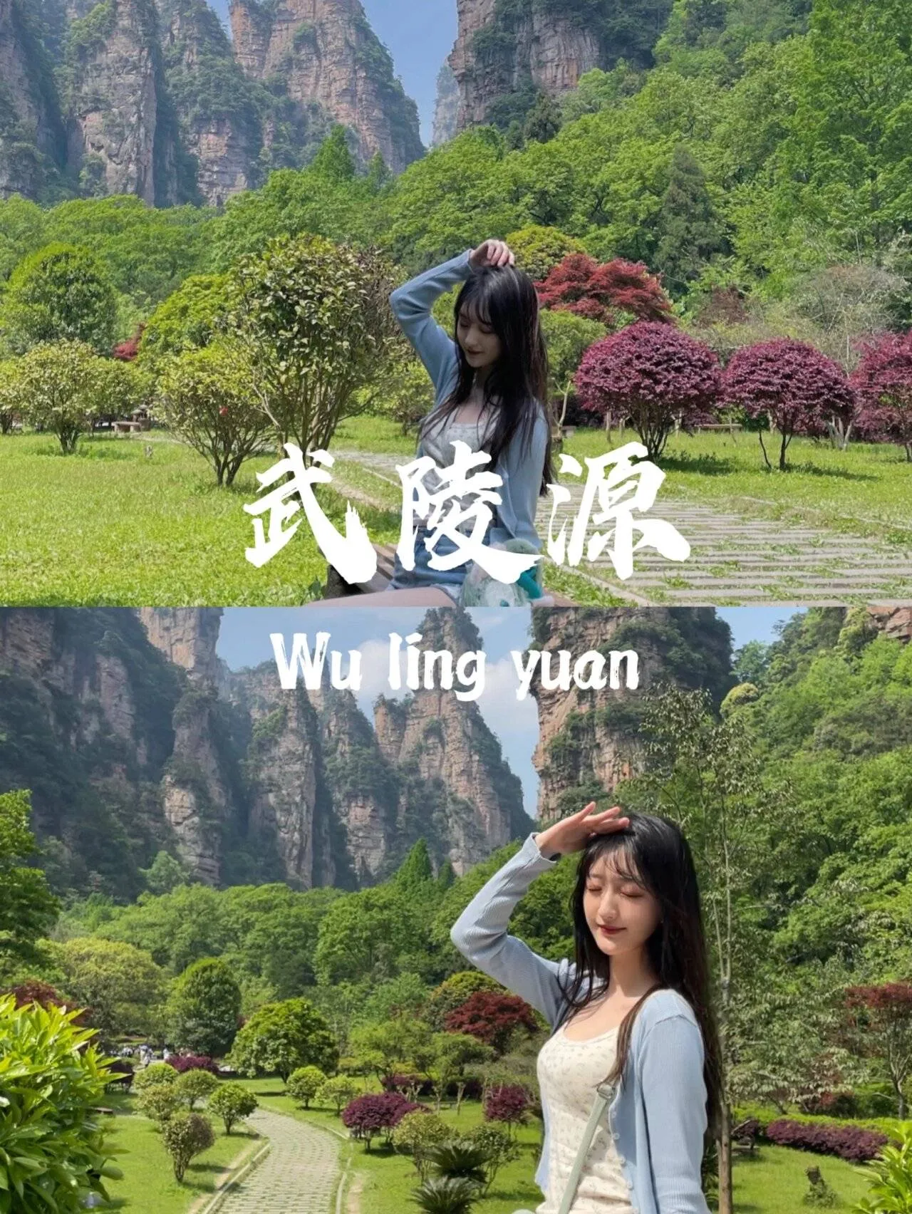旅游张家界一般多少钱(张家界旅游需要多少钱12万阅读)