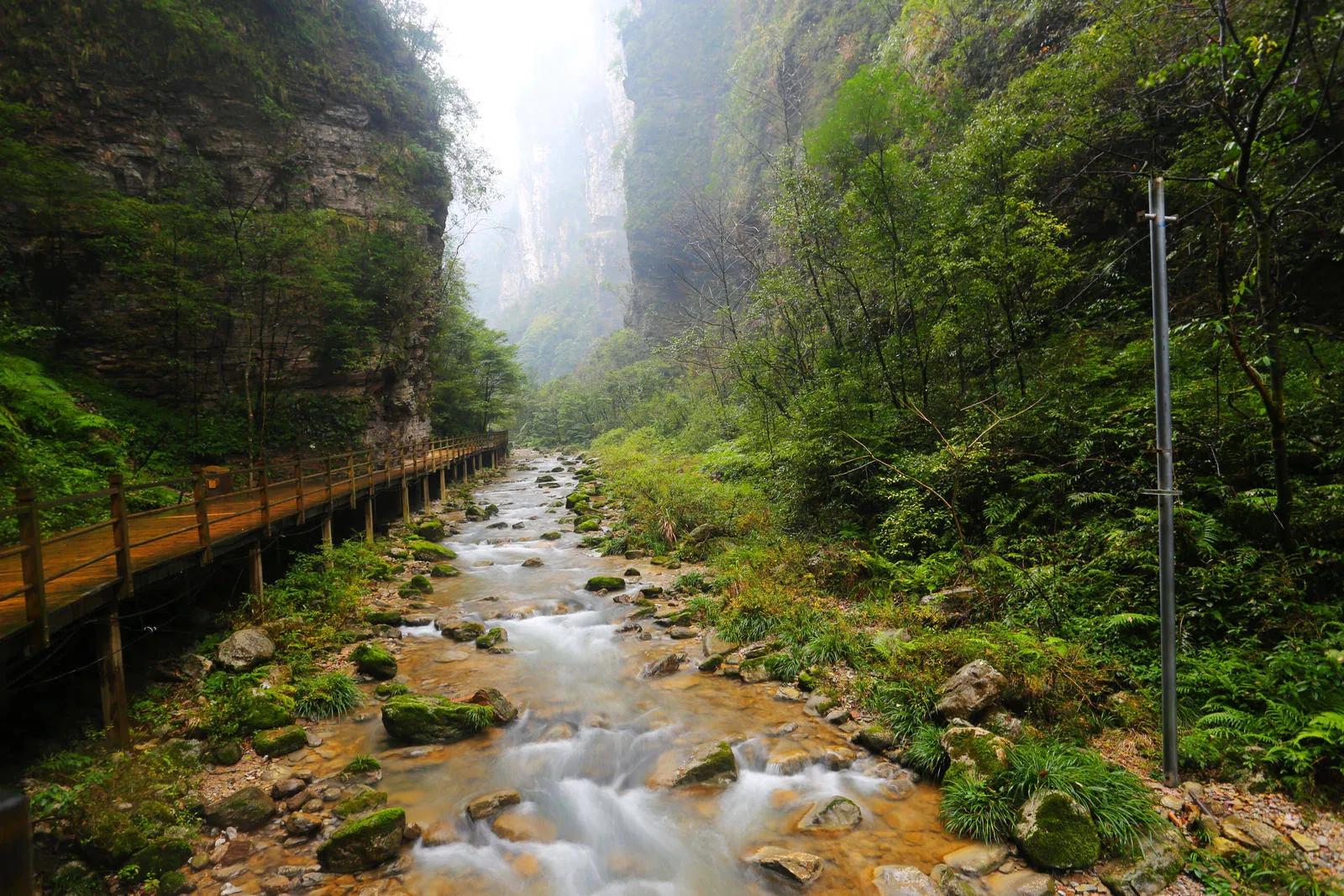关于张家界的旅游(关于张家界的旅游小报)