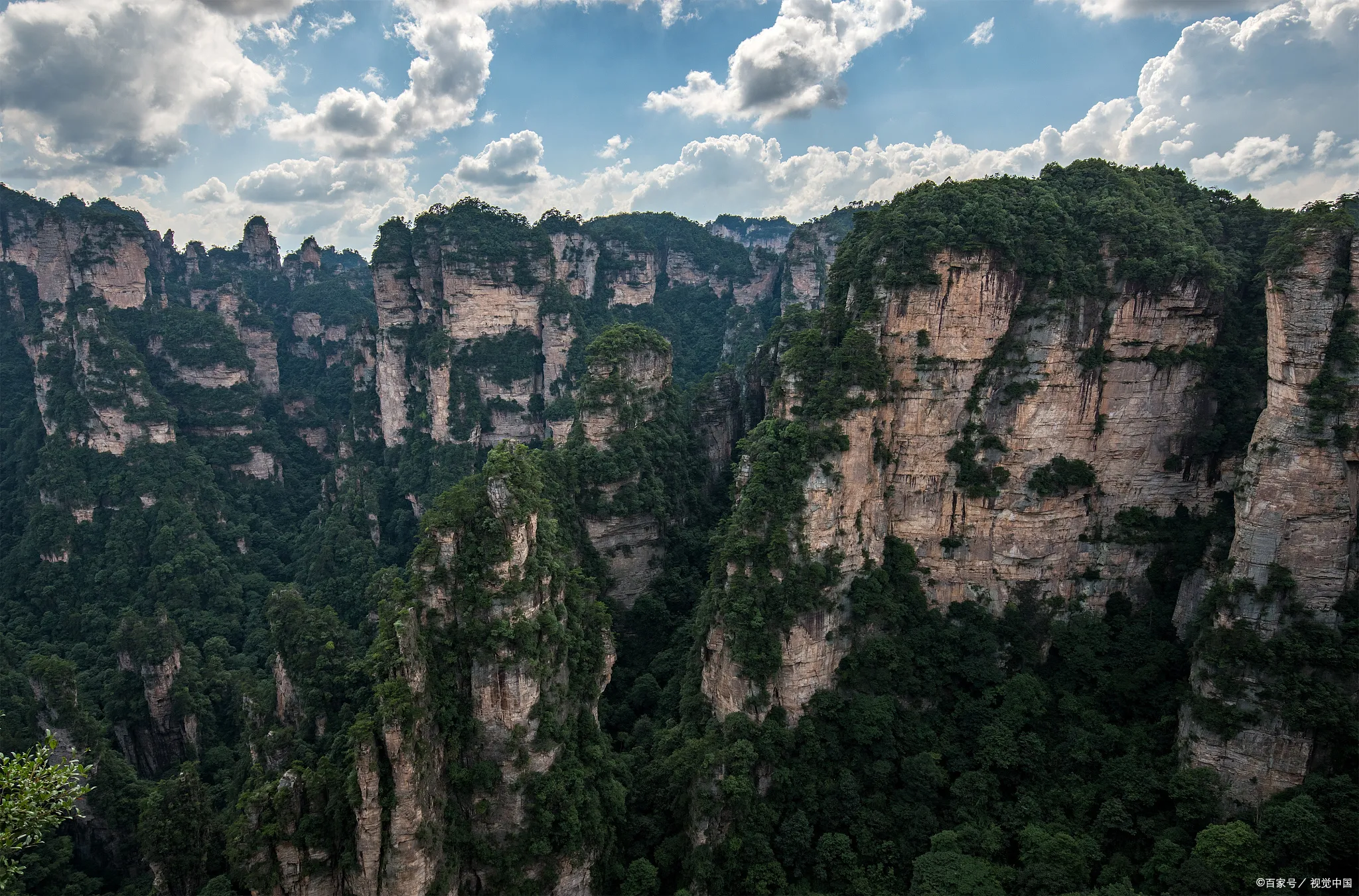 关于张家界的旅游(关于张家界的旅游小报)